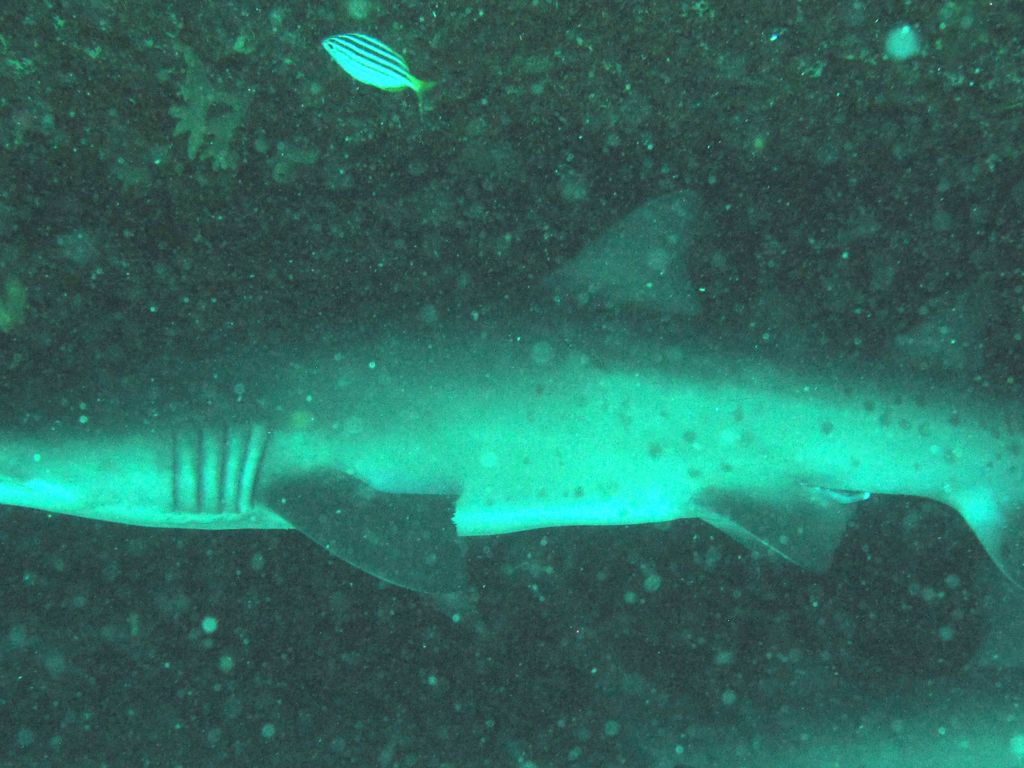 82db6819-686b-47de-926b-597e44b62986