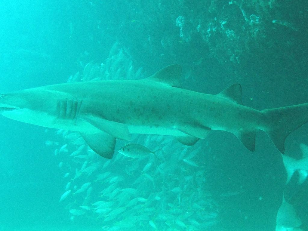 1c859d3f-932c-4762-89ed-21f255b2b916