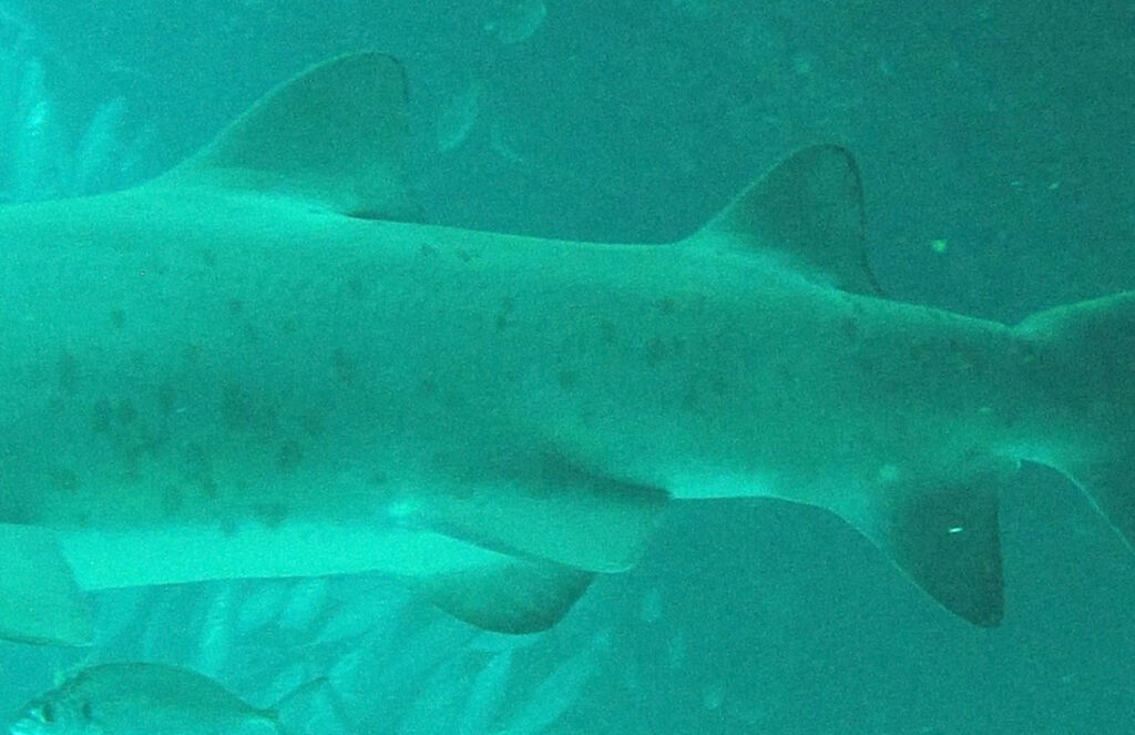 1c859d3f-932c-4762-89ed-21f255b2b916