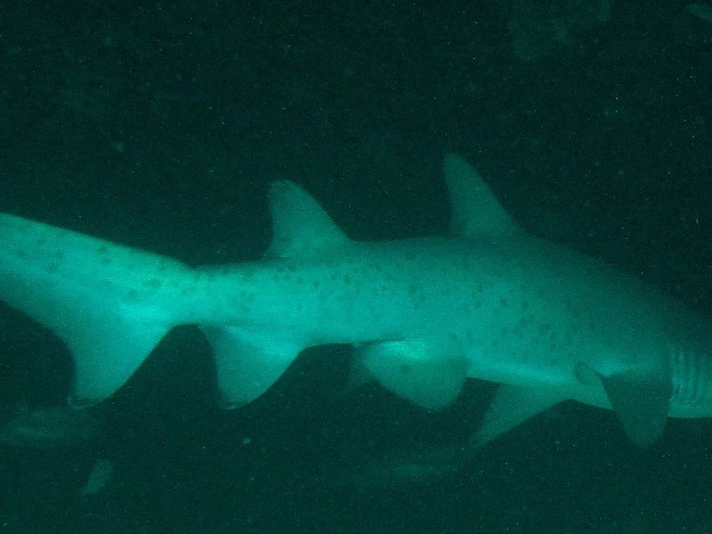 64b0f87e-7cca-405e-ae86-93ac62228e13