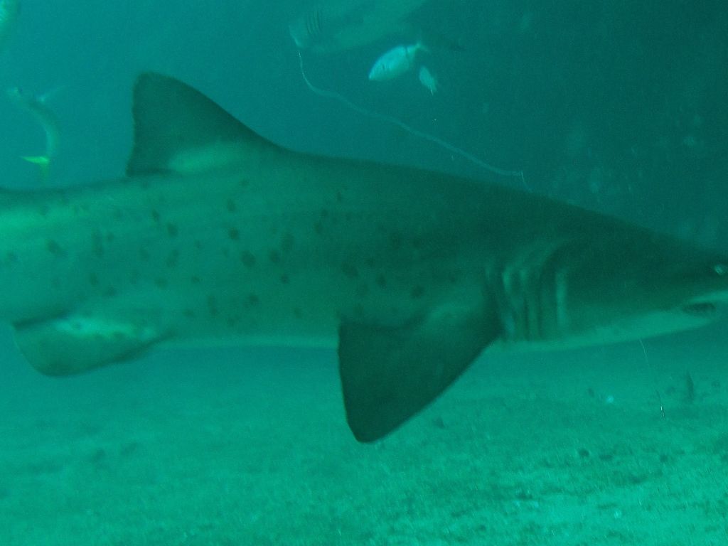 a0e2955c-d1c5-473e-a4c0-9cb3c08258ac