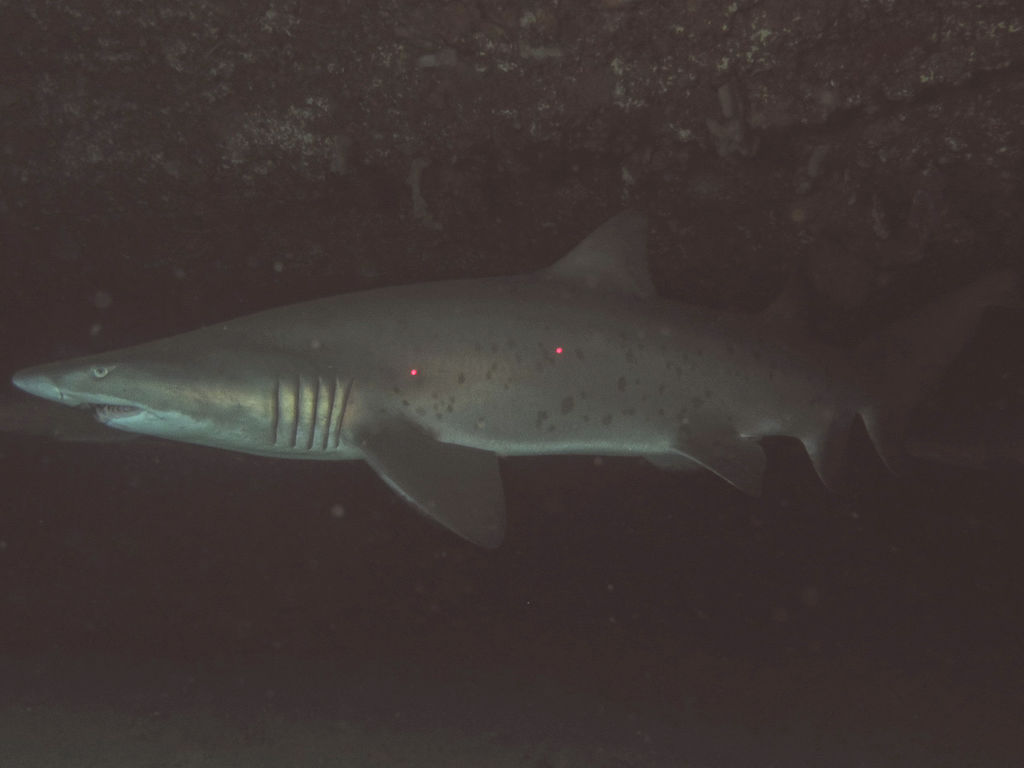 57a78ca3-0767-4901-af06-e6436da282f8