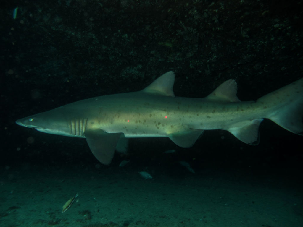 8dfa06ee-6b8f-456b-8f33-d46c07b212ae