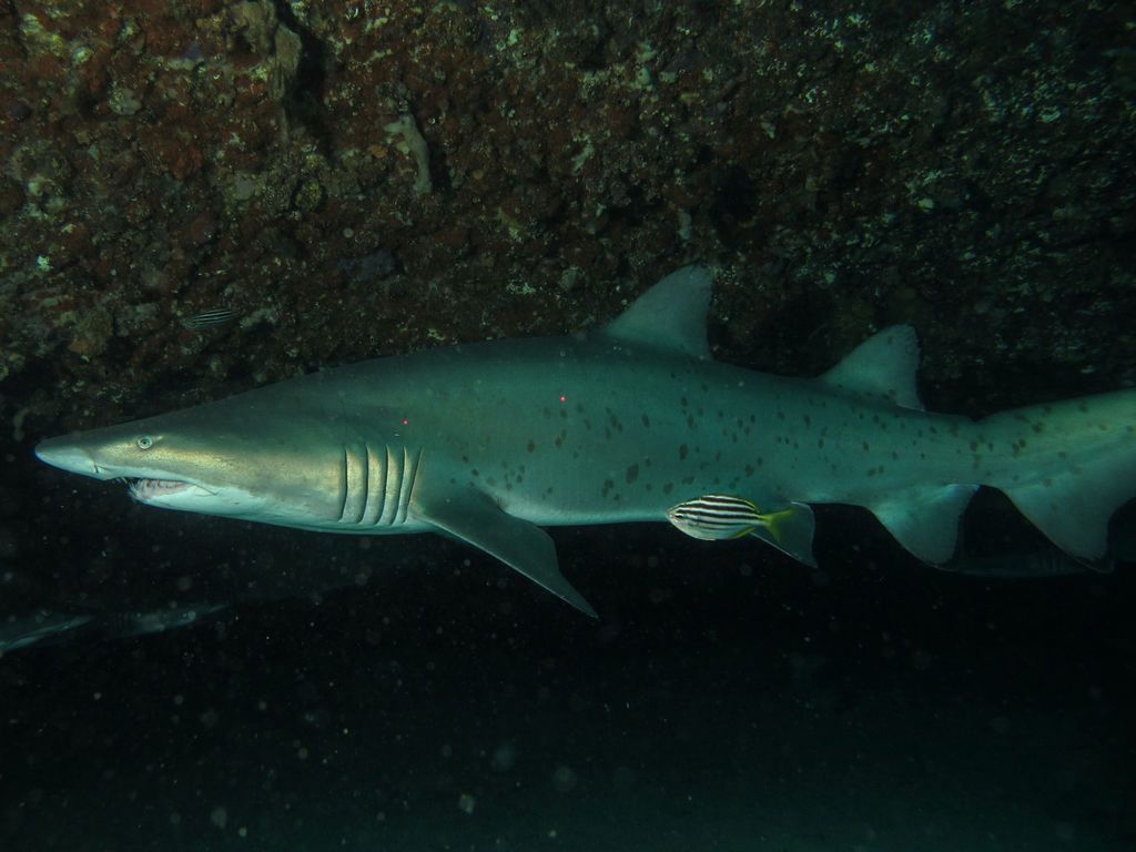 57a78ca3-0767-4901-af06-e6436da282f8