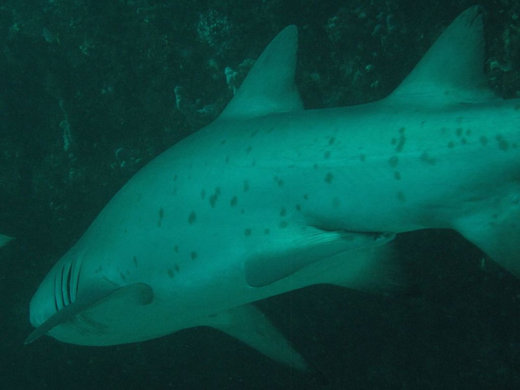 232c8b95-3a5a-44d6-b82a-b880881cbab1