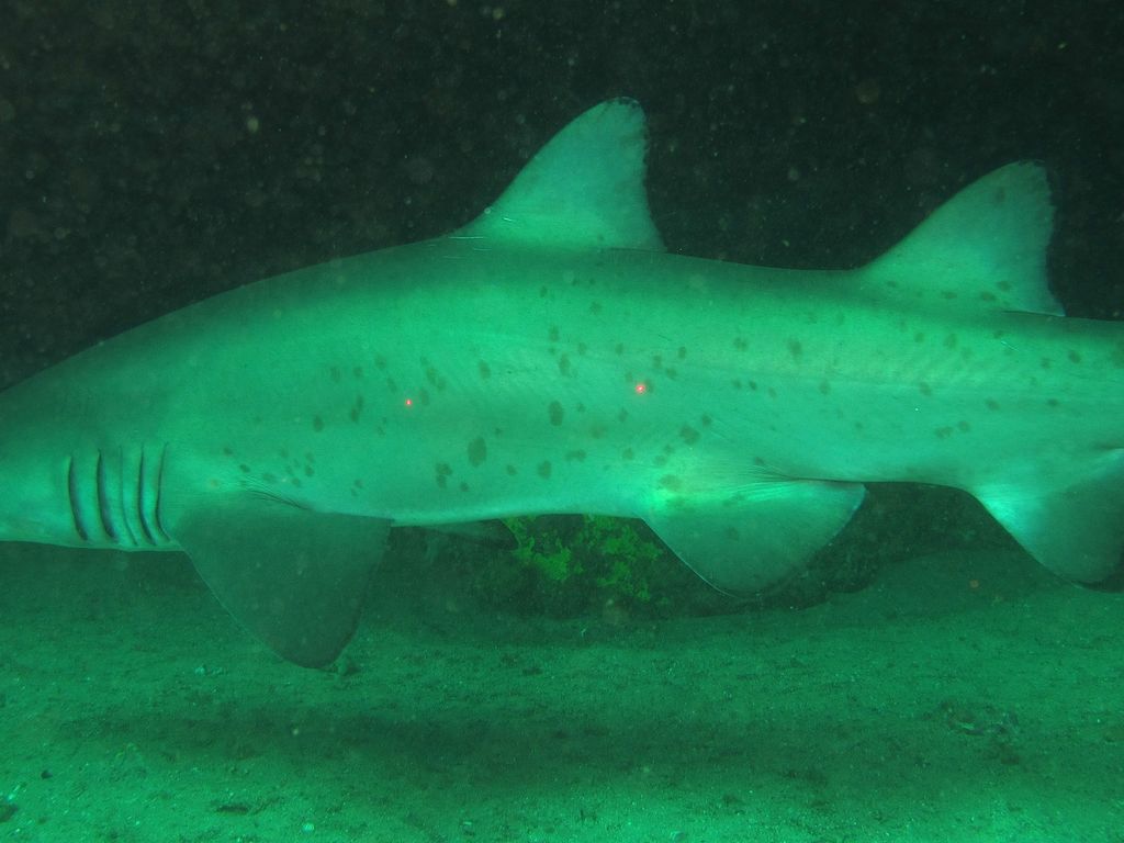 57a78ca3-0767-4901-af06-e6436da282f8