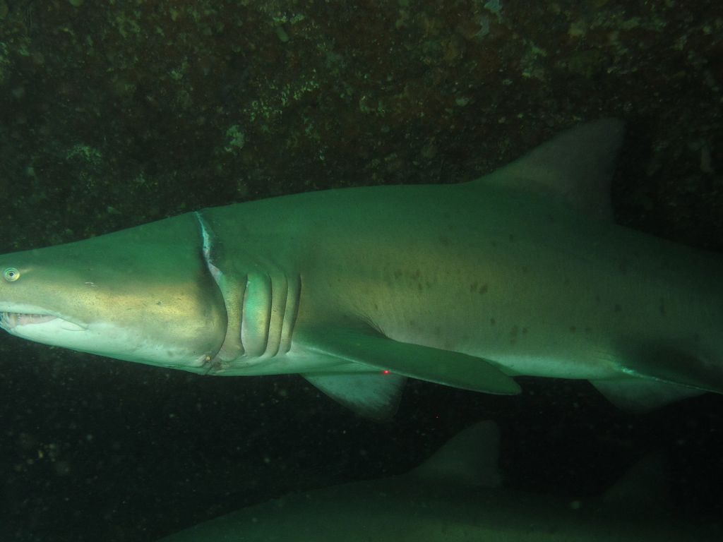 3abe5446-1416-4ba5-9bee-83dadeed9021