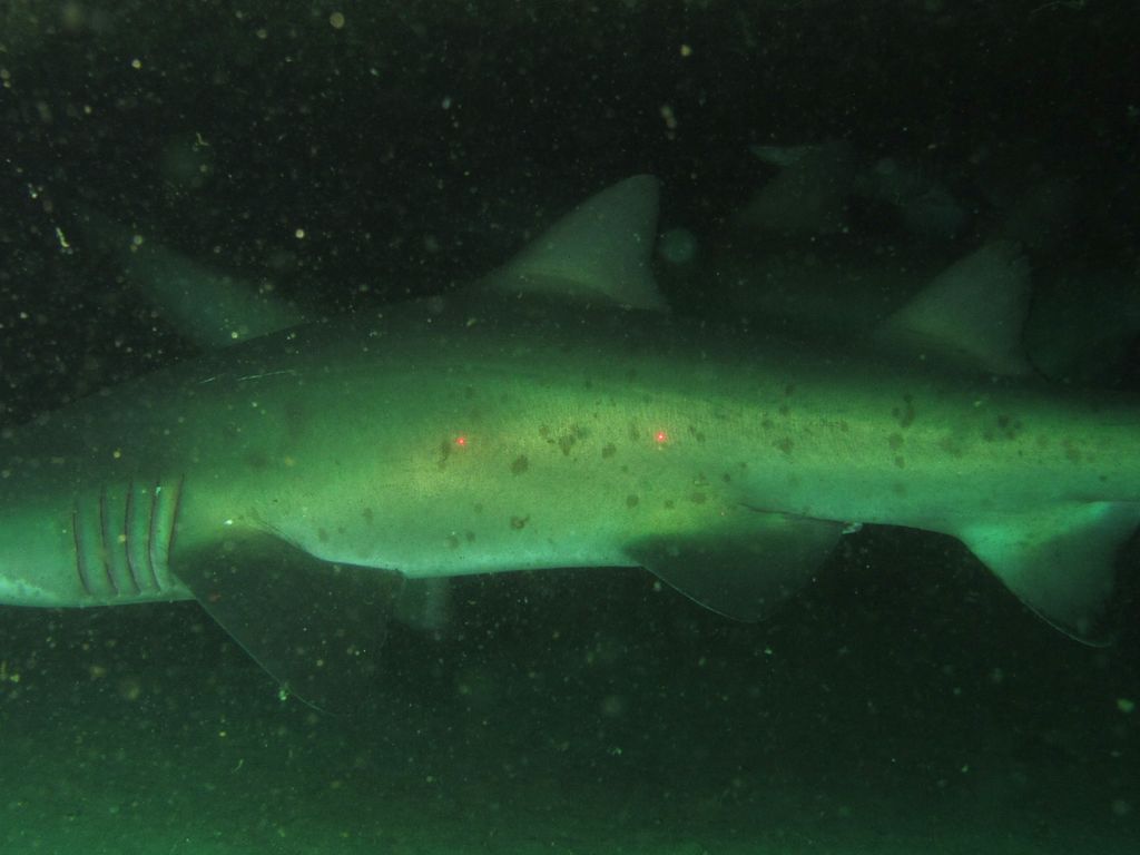 232c8b95-3a5a-44d6-b82a-b880881cbab1