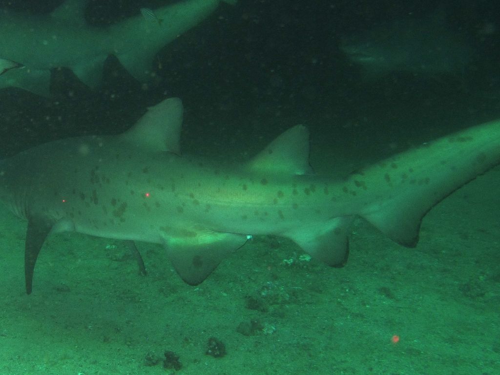 0d35a3b1-f4f9-46fd-b3a7-e84d6426e0f6