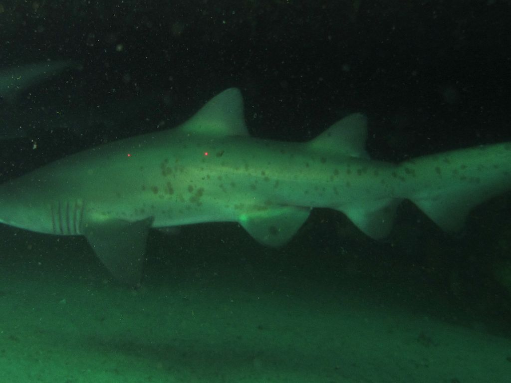 0d35a3b1-f4f9-46fd-b3a7-e84d6426e0f6