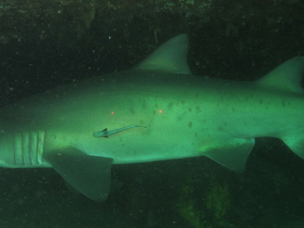 9f74abb2-aba2-4639-bde6-15637646969d