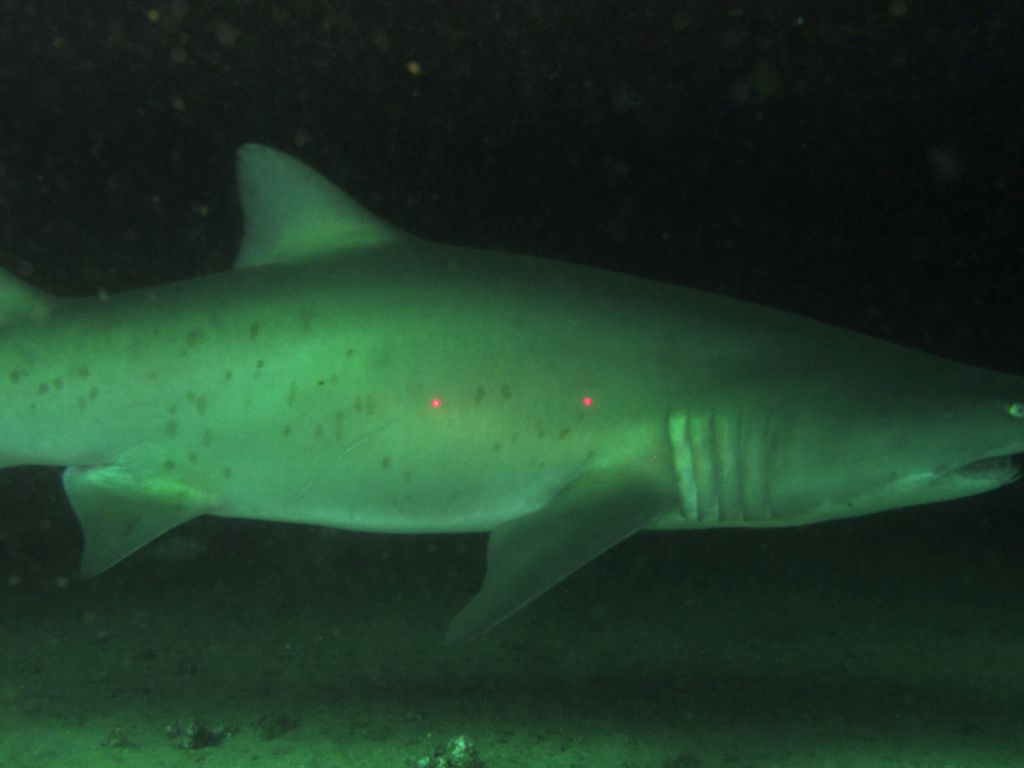 2eedc3f3-fc55-4c5d-9ec1-366b596368d5