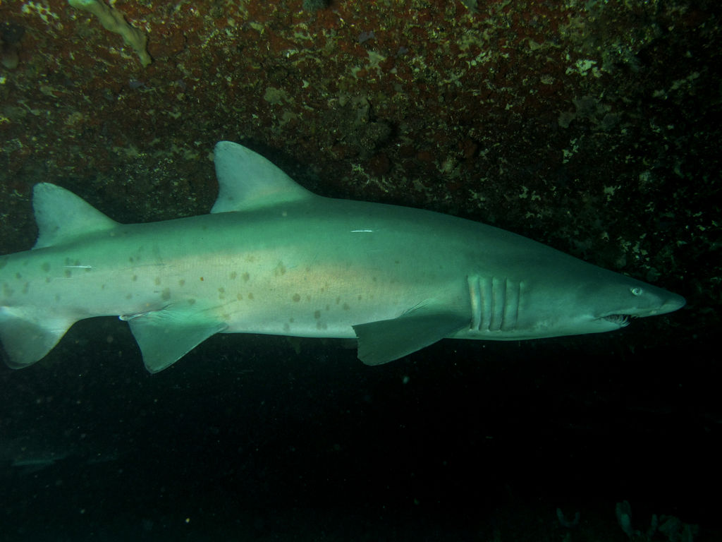 c3987c2b-a1d6-4735-9b1f-5d36d600eb6f