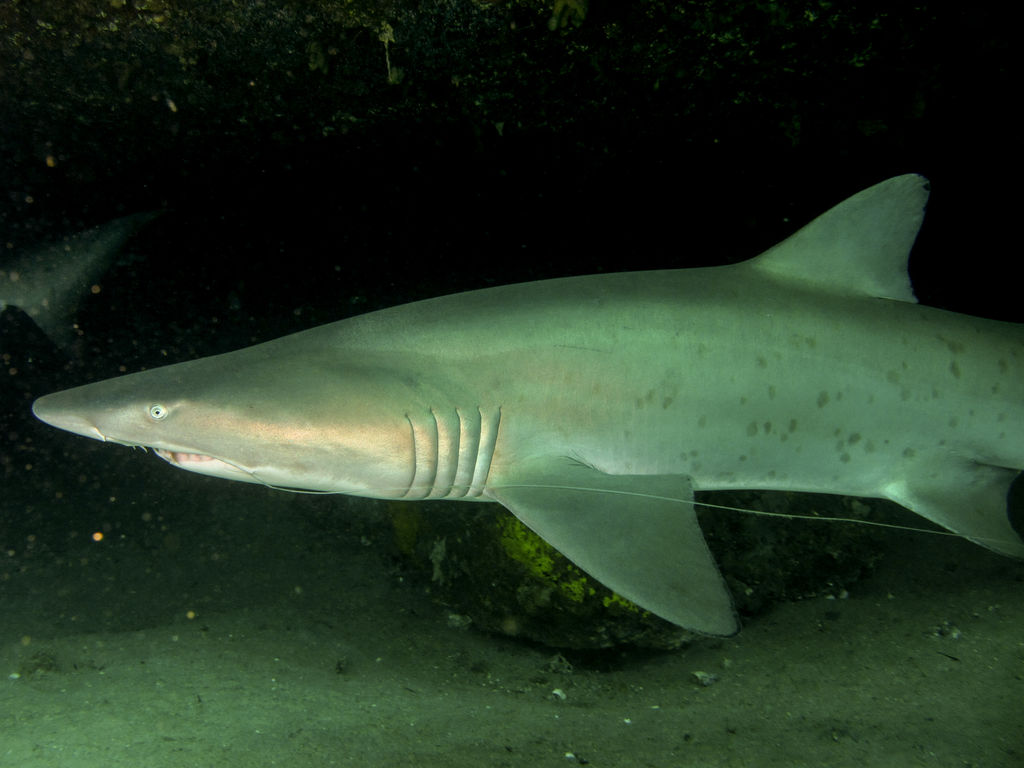 8dfa06ee-6b8f-456b-8f33-d46c07b212ae