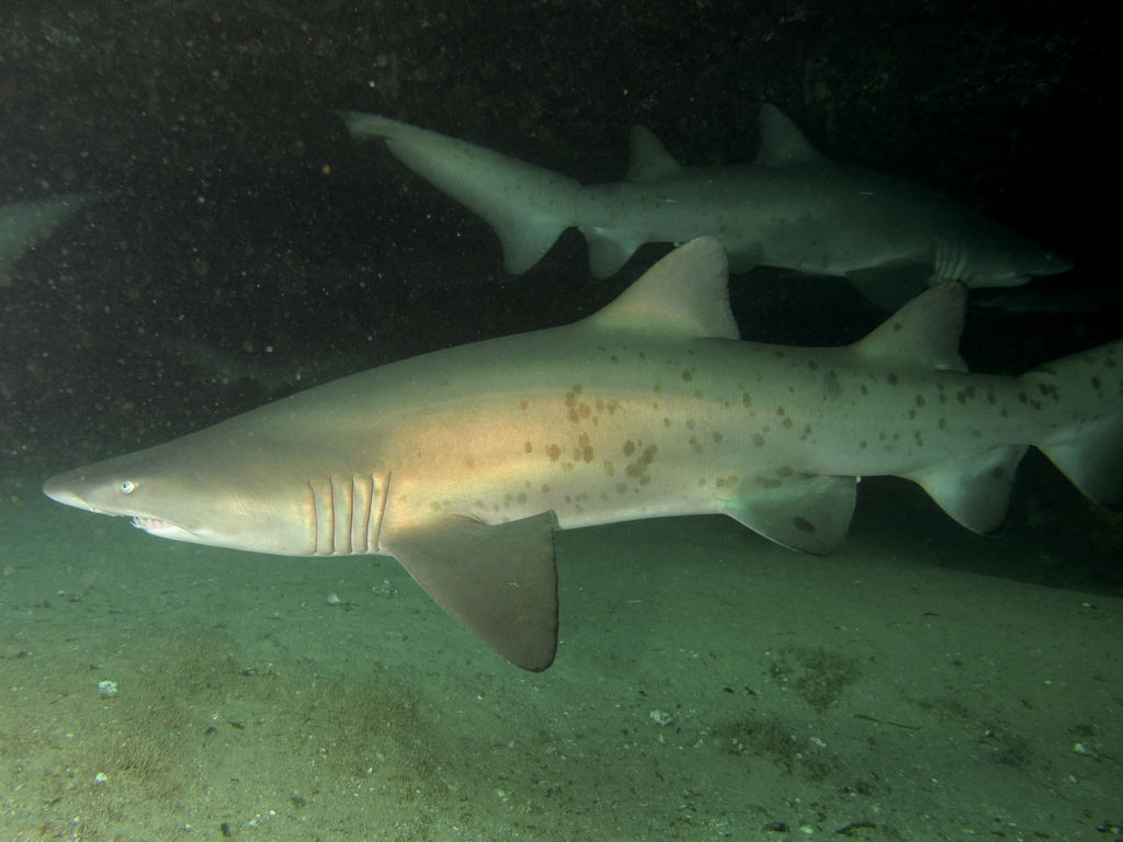 0d35a3b1-f4f9-46fd-b3a7-e84d6426e0f6