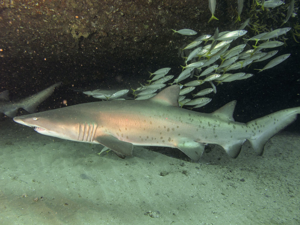 00785751-f167-4c78-8432-7723b92c640a