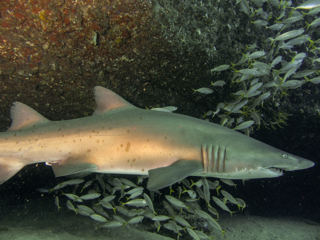 33603e97-c9f9-46f8-ba88-87e3f5c26b26