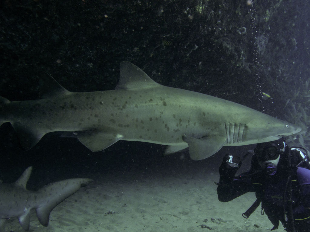 11d7ec0e-ccd7-4ffd-8545-0ebcd649d818