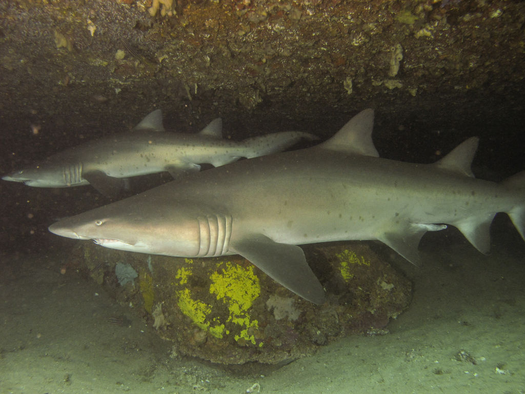 e01fc33c-c7b6-4f95-b517-ee496d1c6522