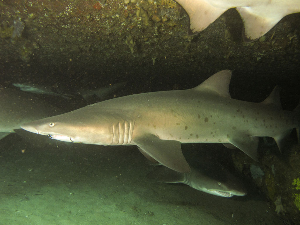 bbb81ed4-c688-4c14-8d64-a3b320e89e6d