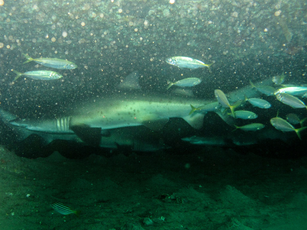 50034198-090e-40b0-9551-a5cefd5631d4