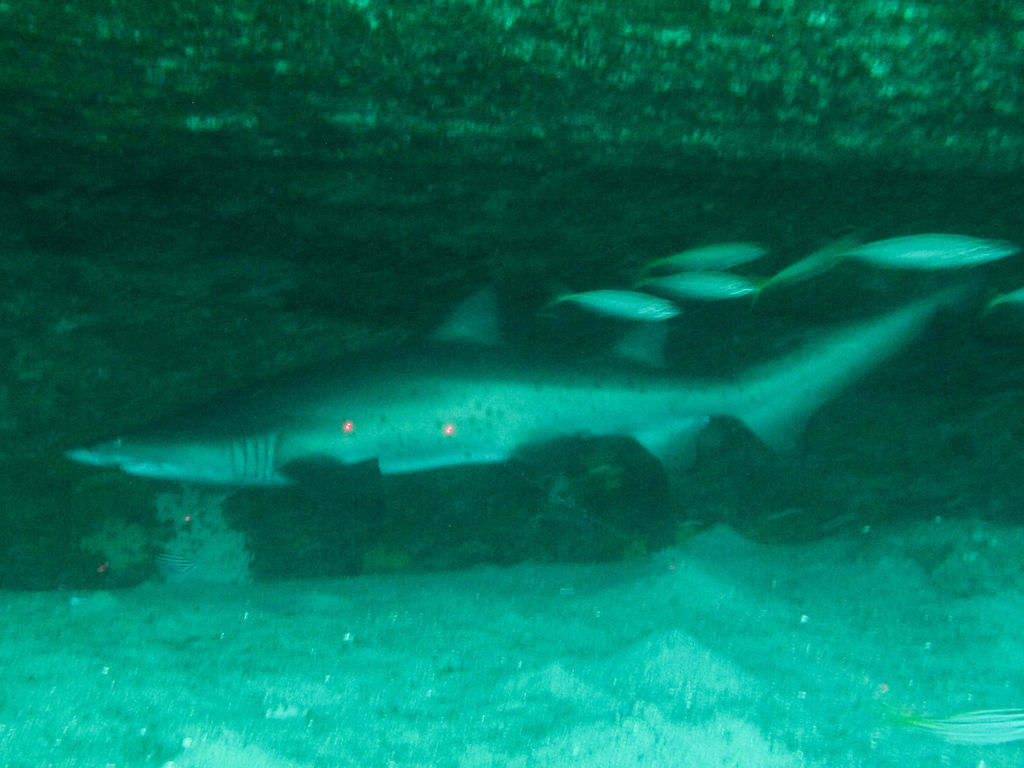 50034198-090e-40b0-9551-a5cefd5631d4