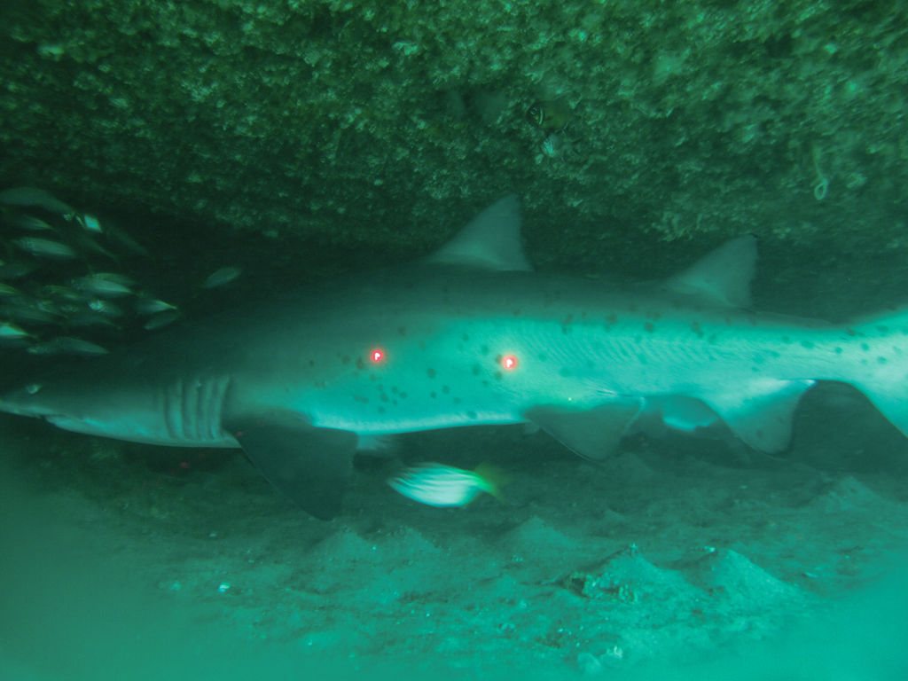 50034198-090e-40b0-9551-a5cefd5631d4