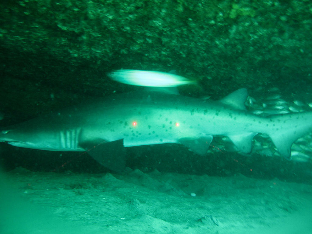 50034198-090e-40b0-9551-a5cefd5631d4