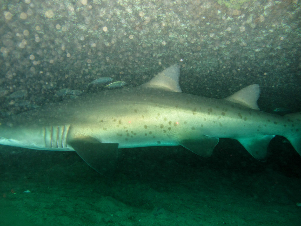 50034198-090e-40b0-9551-a5cefd5631d4