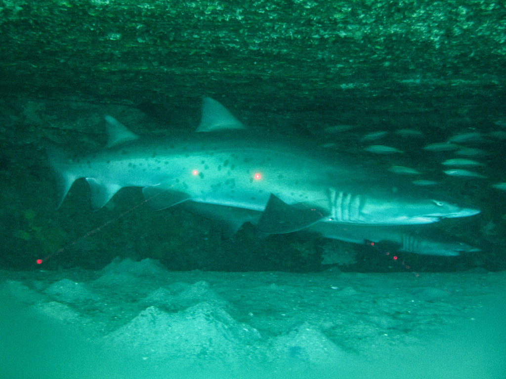 25fe45a3-1db8-478d-84a5-df77940532fd