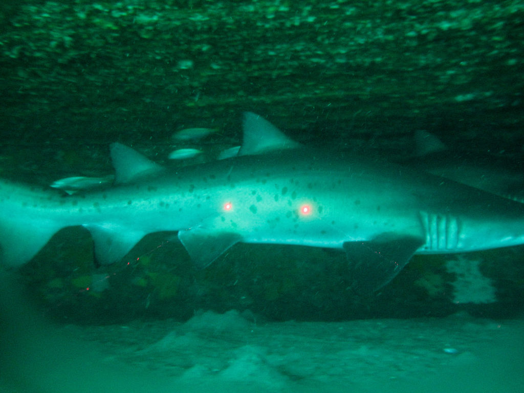 25fe45a3-1db8-478d-84a5-df77940532fd