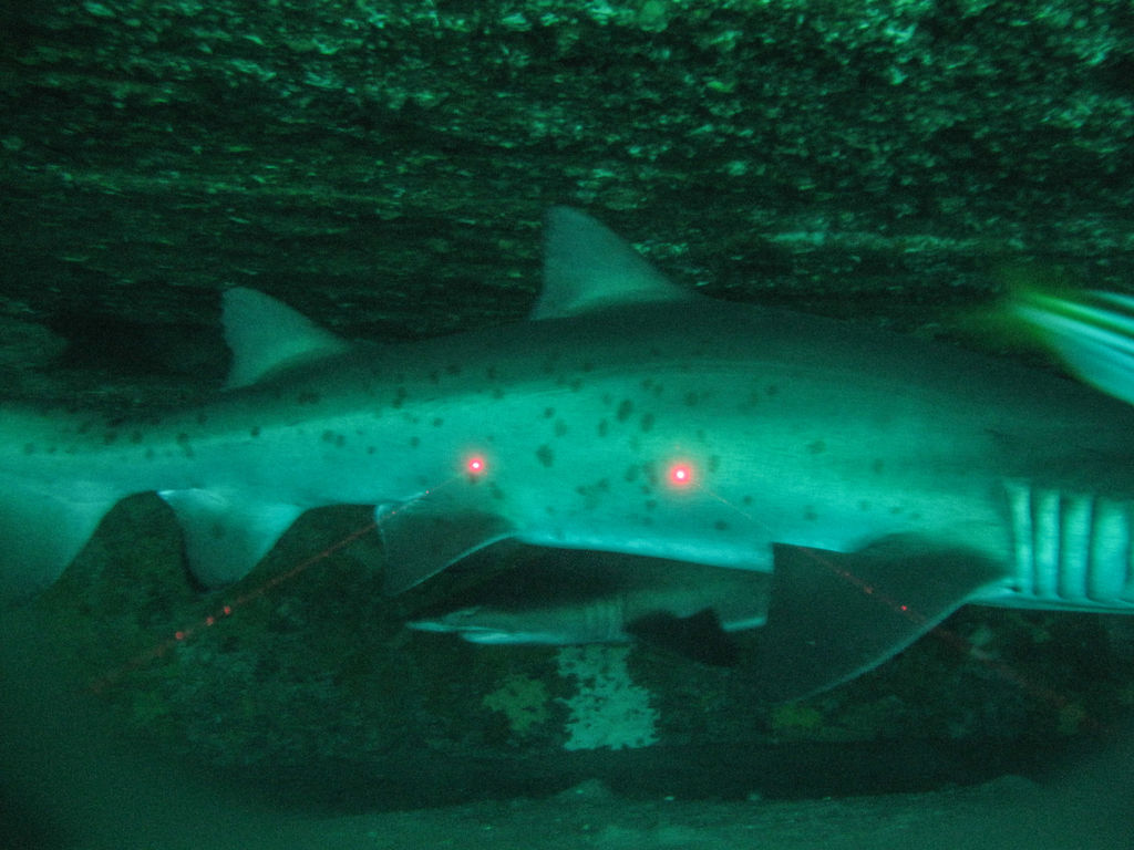 25fe45a3-1db8-478d-84a5-df77940532fd