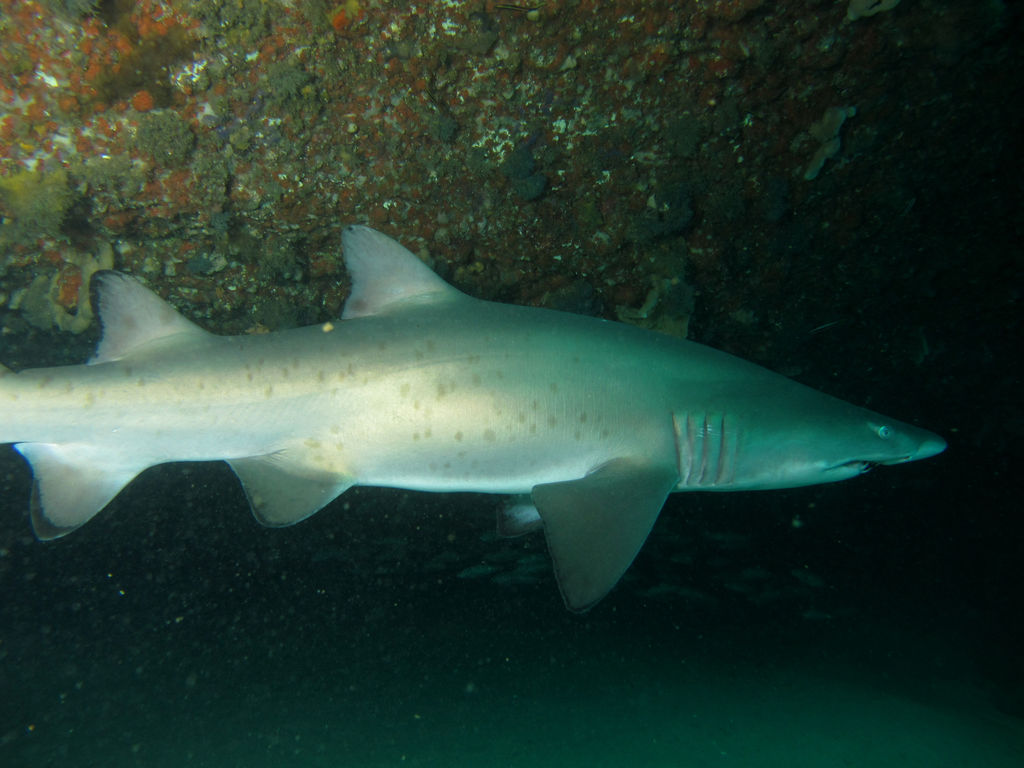 98c8cfdf-c82d-4135-8614-eafdae91e34b