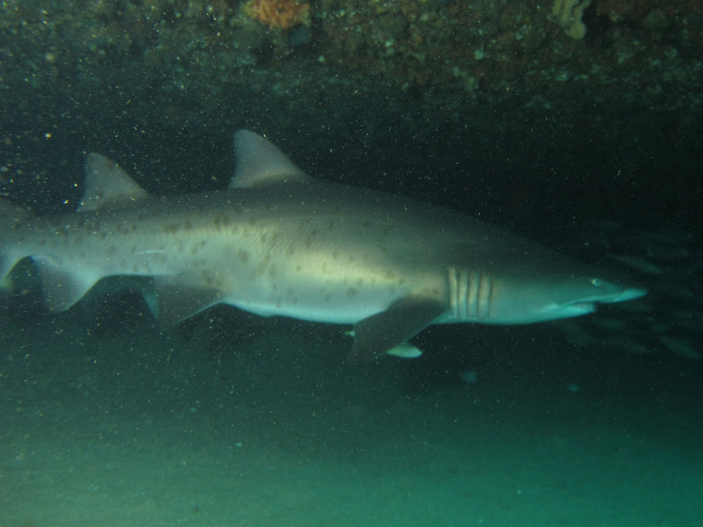 3ed16300-0f4f-4e84-98ae-76fac4504ce6