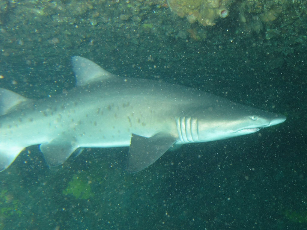 0708cce7-2093-4d4a-b62d-1c1e6a116f02