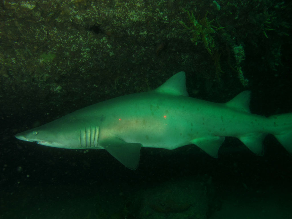 ffe7e9d0-5651-432f-b01b-20660c88cec8