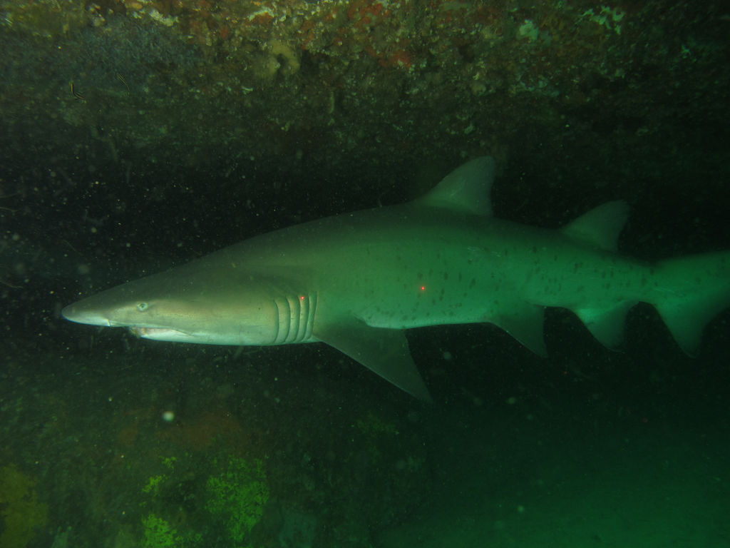 439ac240-00bc-421e-8ebe-27a7f5a7d845