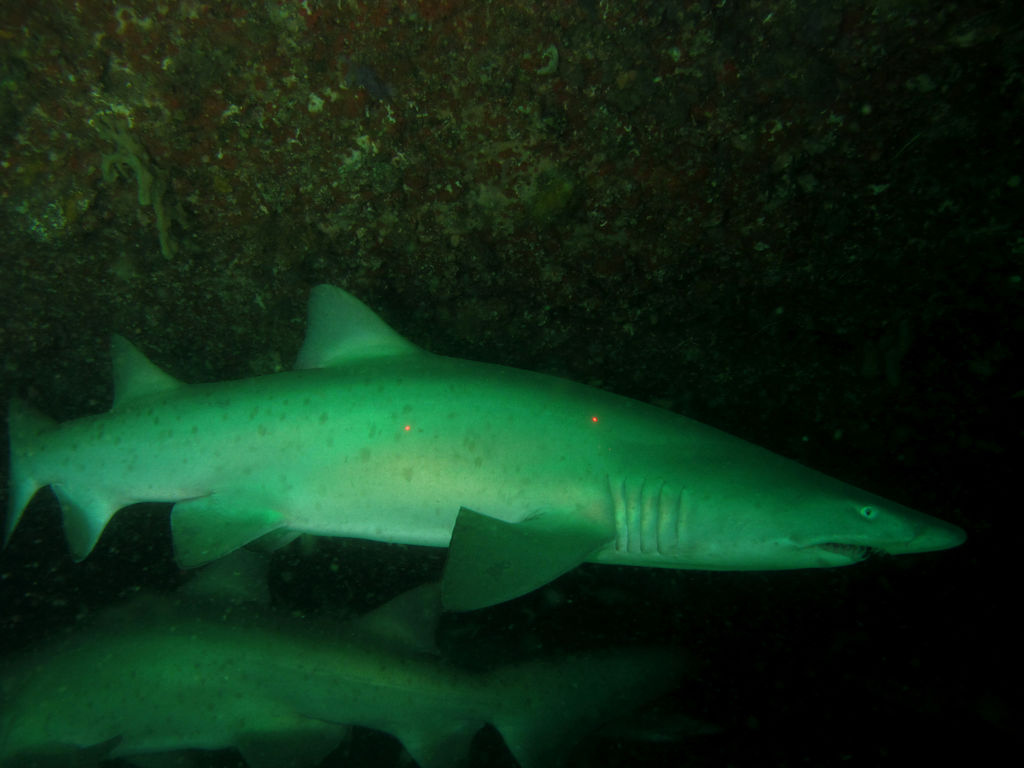 634d498a-e2f6-480a-9cf5-a0e800531146