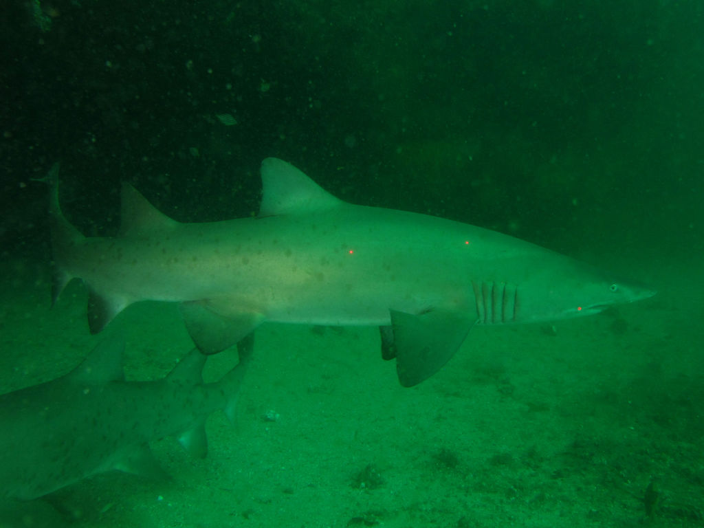 08249fad-c538-464e-ae1b-84a40bf5663f