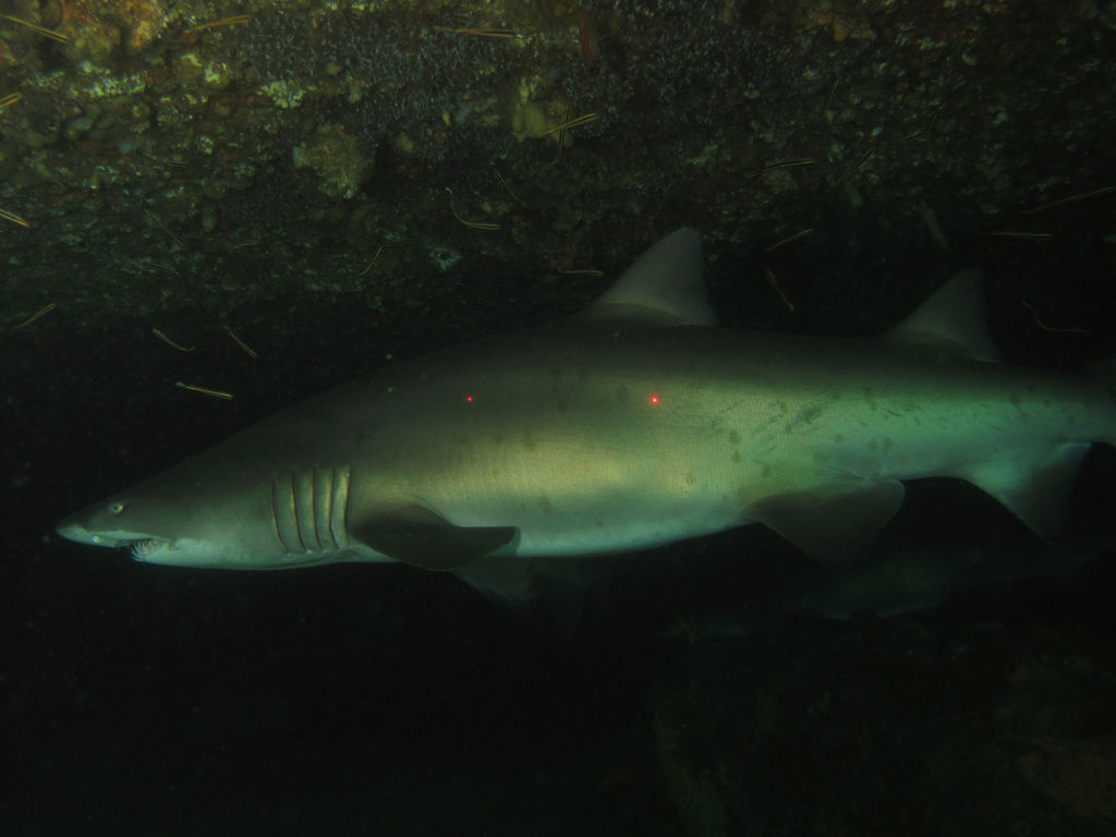 ffe7e9d0-5651-432f-b01b-20660c88cec8