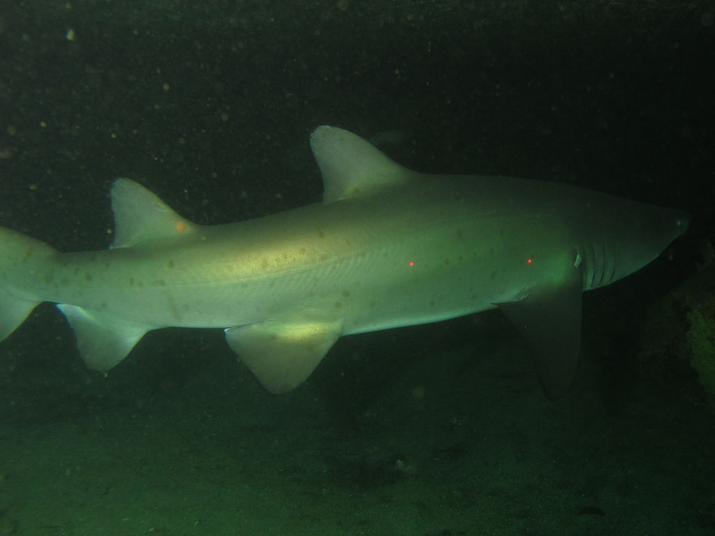 fbef563c-f11a-42e3-ba3e-208e4201314d