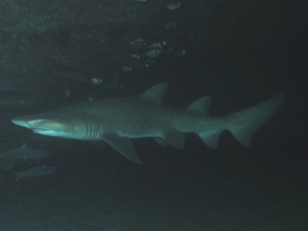 86ca6564-4c6a-40ff-9045-974d74225573