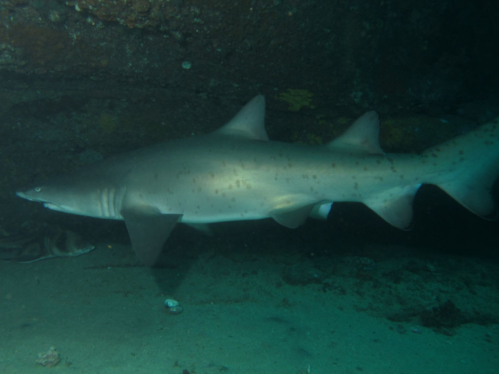 ba45e332-bf86-4a03-9540-bfe7084df91d