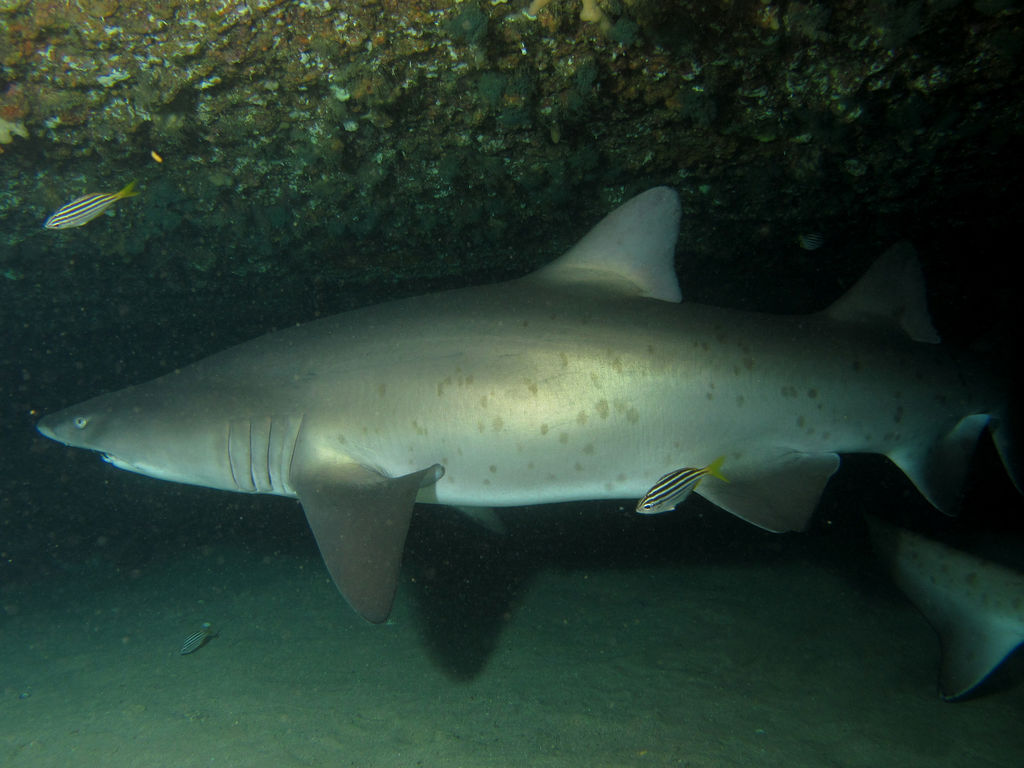 ba45e332-bf86-4a03-9540-bfe7084df91d