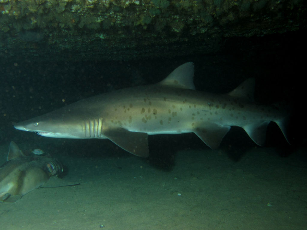 ddba37f3-a79f-42f9-bd9a-453df247820b