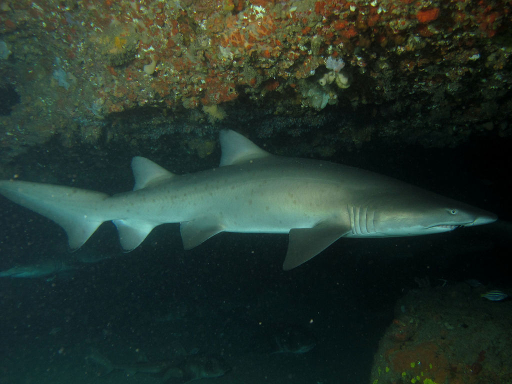 634d498a-e2f6-480a-9cf5-a0e800531146