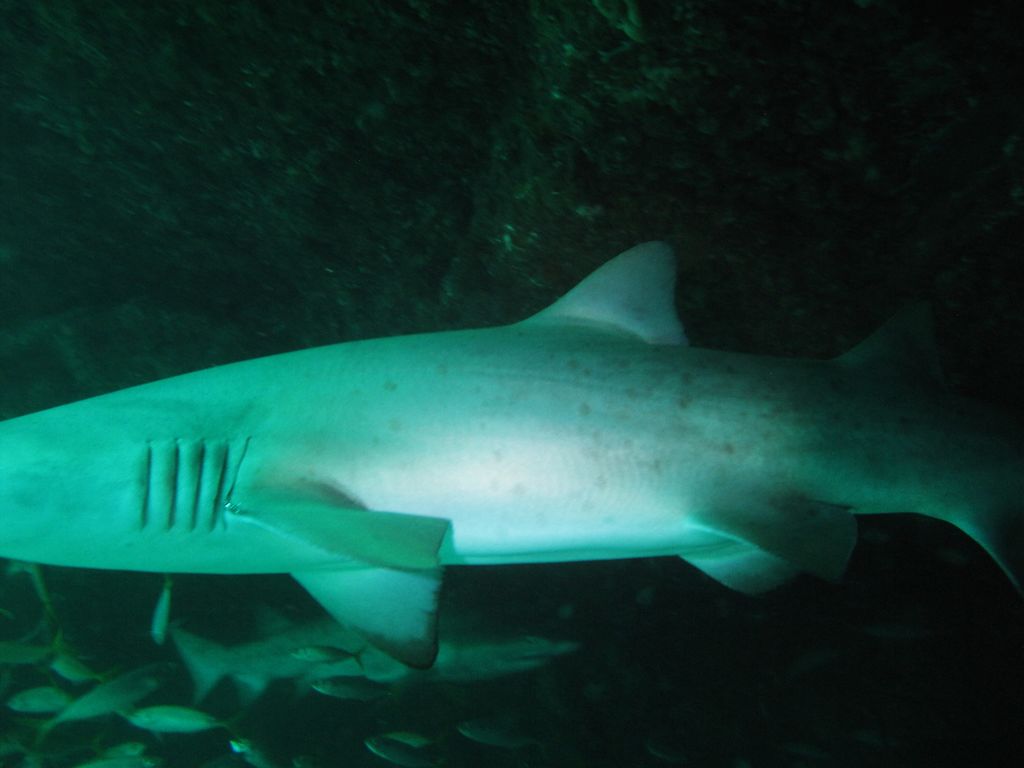 2ef3f4ad-c586-4db4-a655-6f367c9ec81e