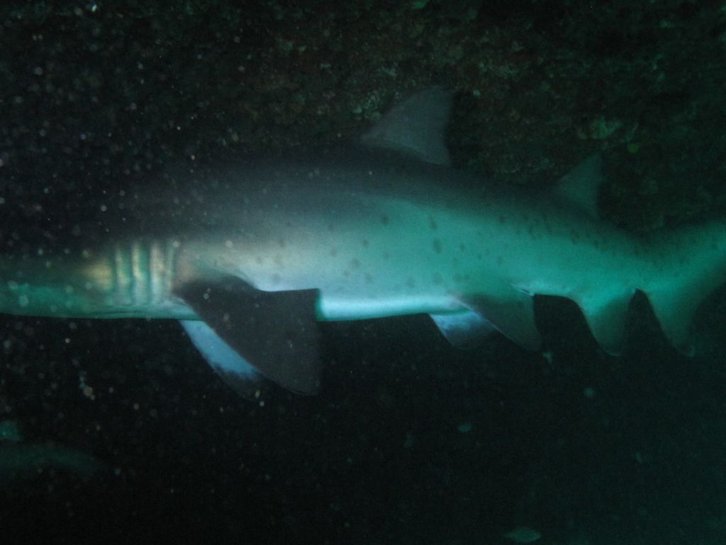 7f962089-7467-4050-a52b-7b7746019e82