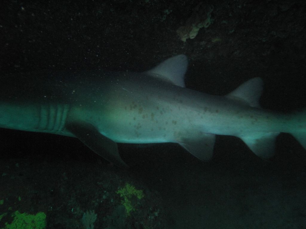 bcdeb42a-b97e-4b2c-ae5c-d1532786036a