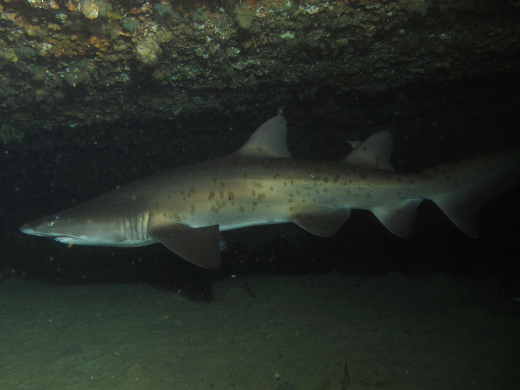 ddba37f3-a79f-42f9-bd9a-453df247820b